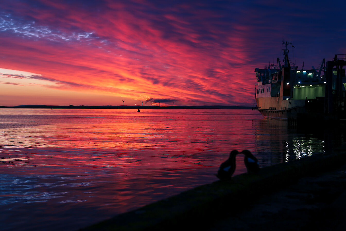 Sunset kiss on Stronsay pier - image by Iain Johnston