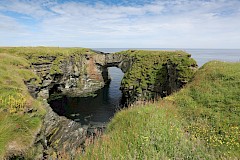 Stronsay