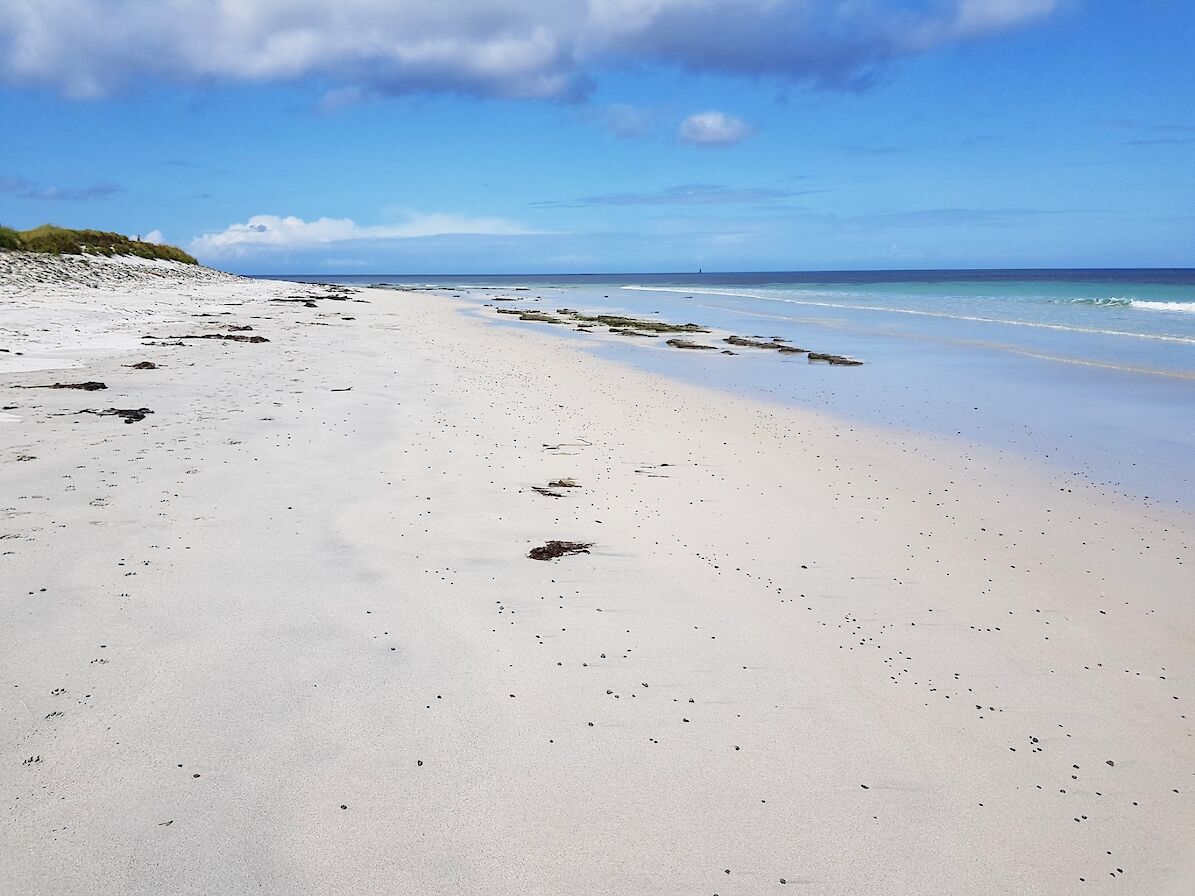Deserted white sand beaches in Sanday - image by Susanne Arbuckle