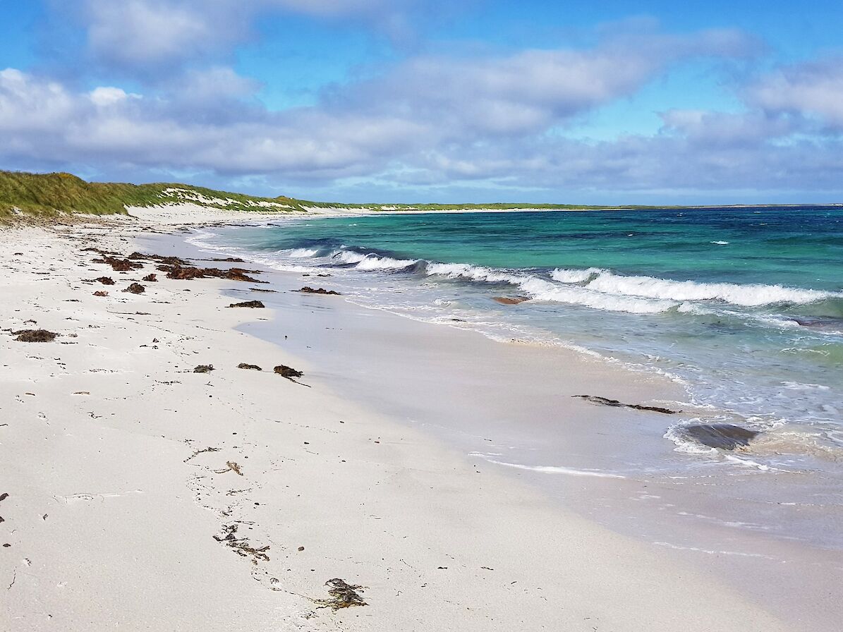 One of Sanday's beautiful beaches - image by Susanne Arbuckle