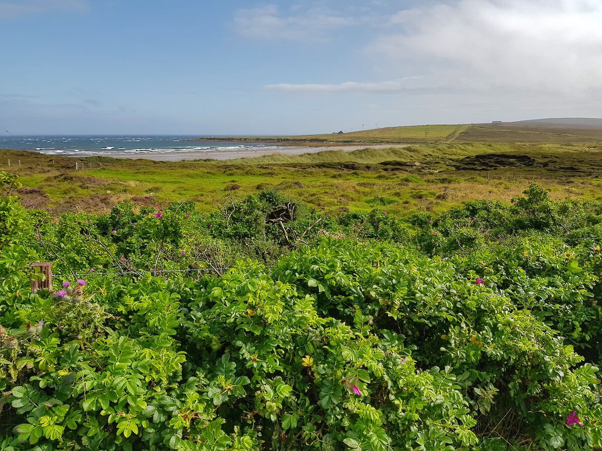 View towards a beach in Eday - image by Susanne Arbuckle