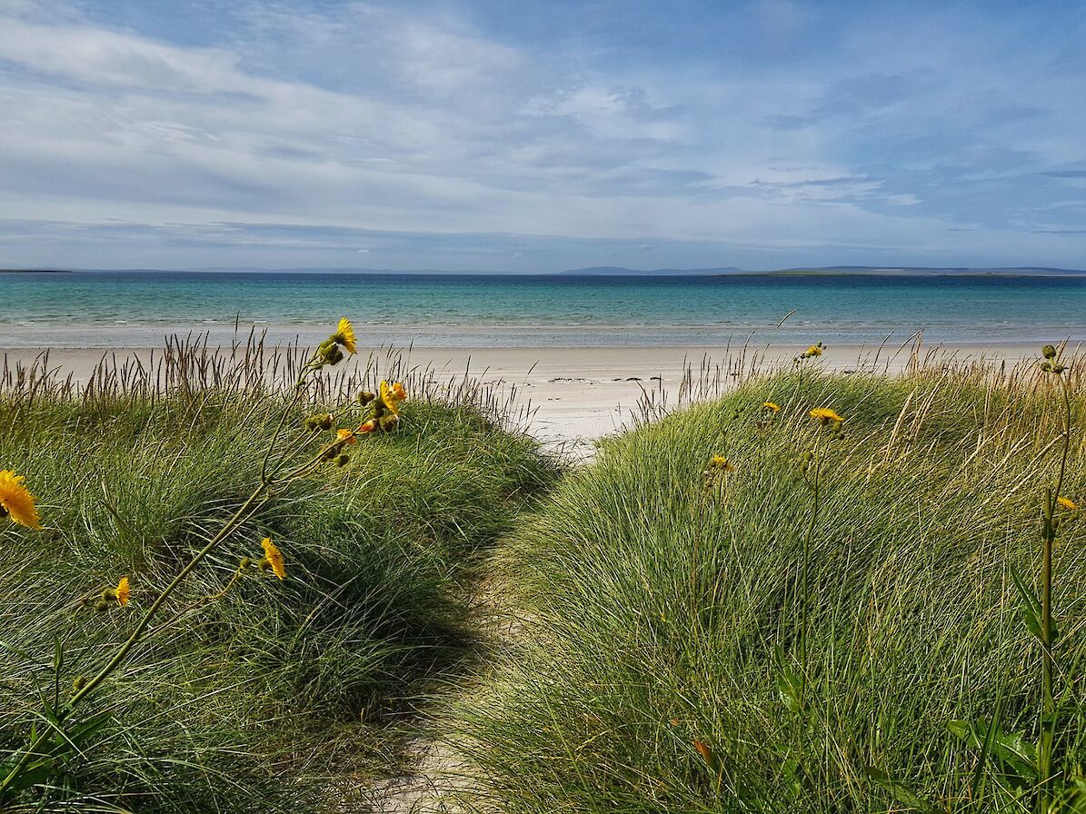 One of Stronsay's stunning beaches - image by Susanne Arbuckle