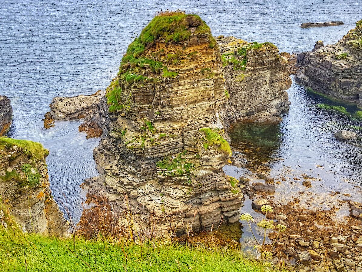 Sea stack off the Stronsay coast - image by Susanne Arbuckle