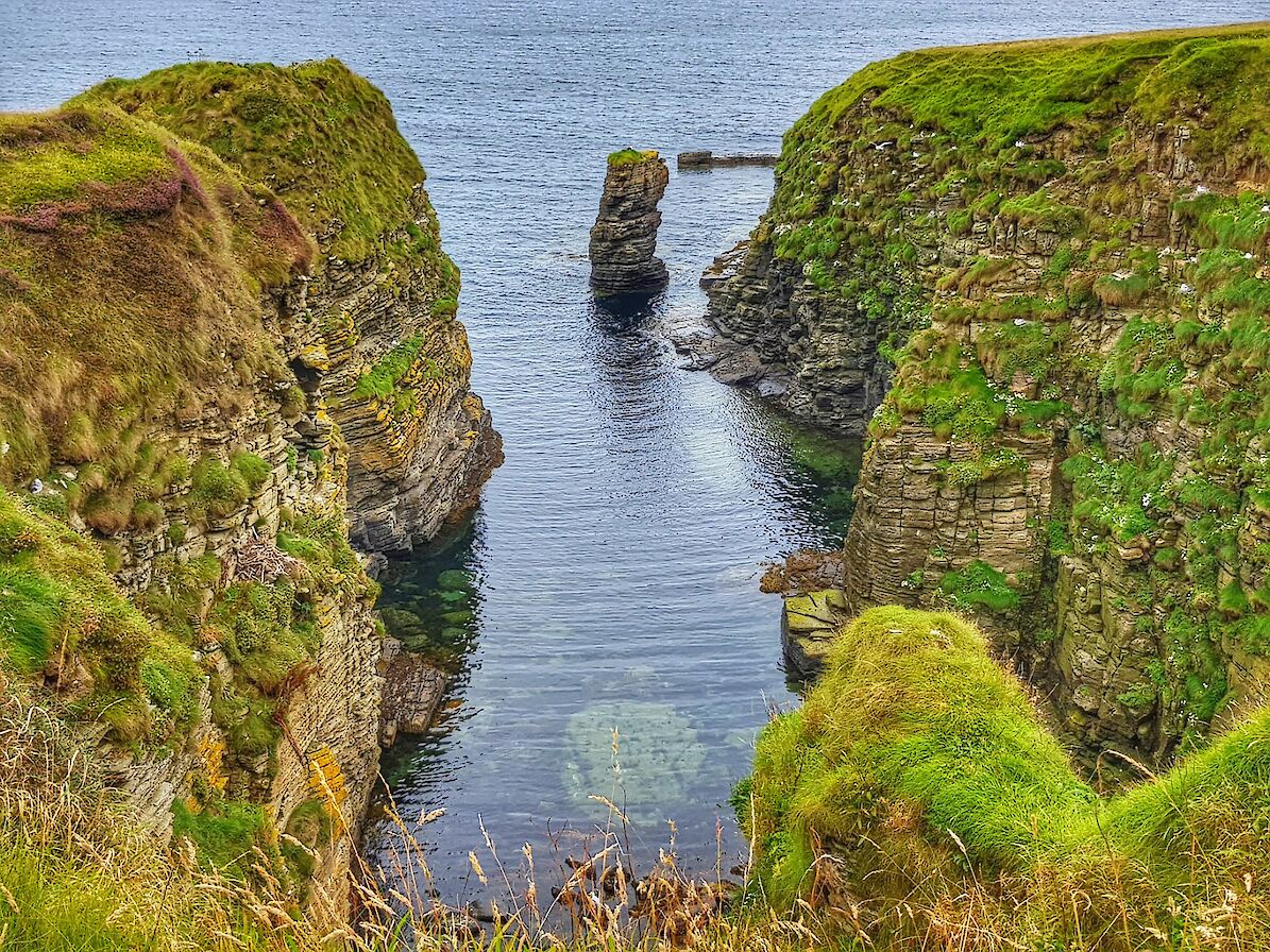 Part of the Stronsay coastline - image by Susanne Arbuckle