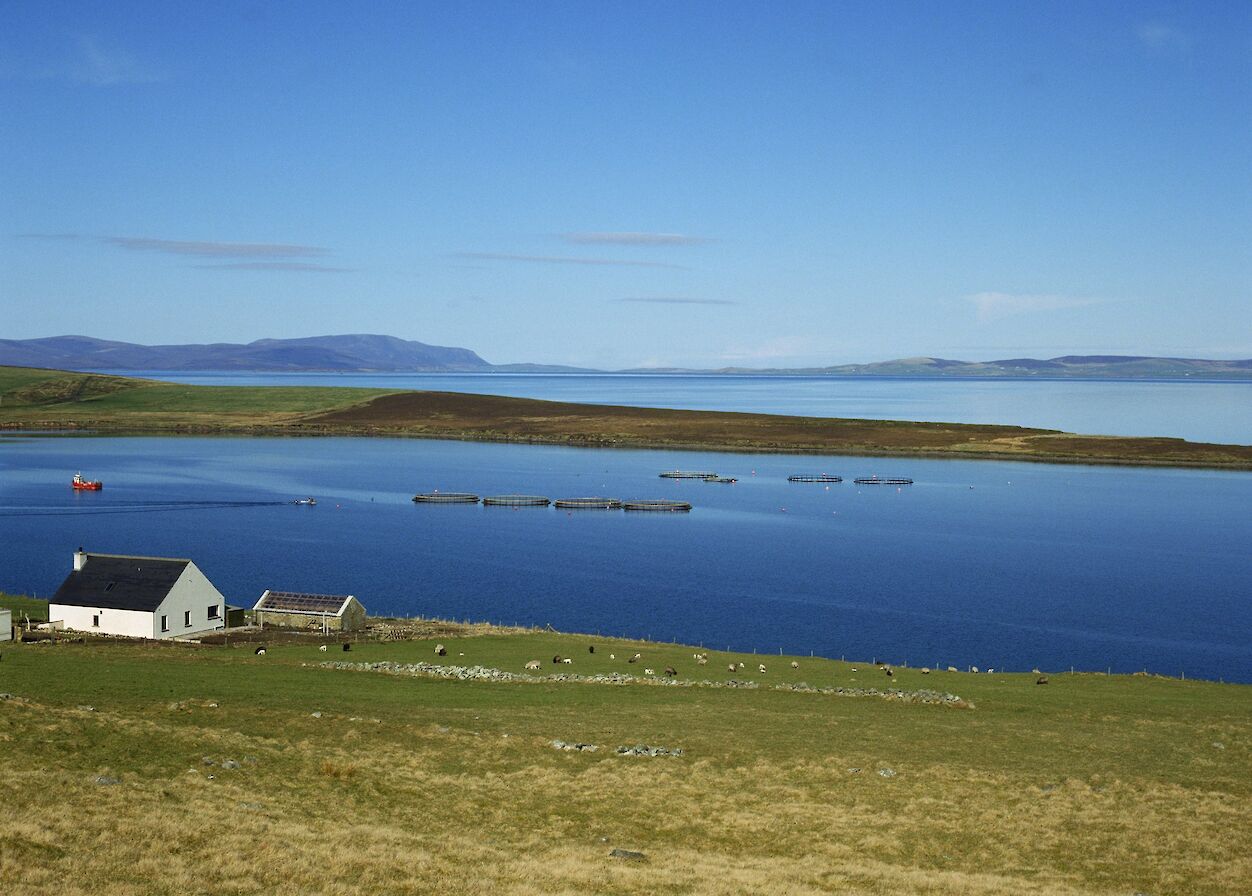 Fish farm in Orkney - image by Doug Houghton