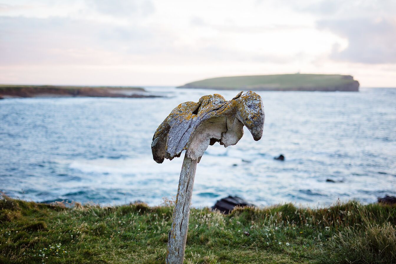 The Birsay Whalebone, Orkney