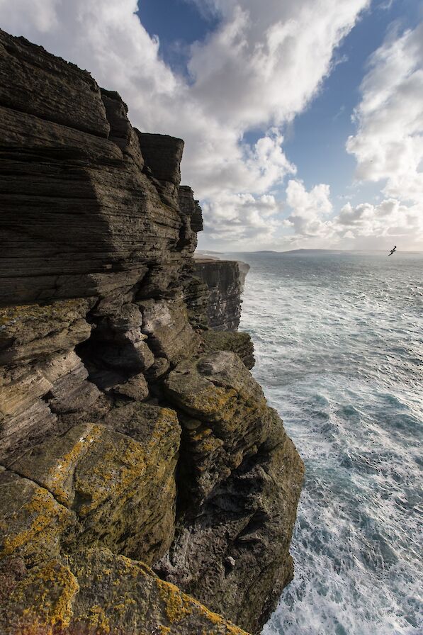 The cliffs at Noup Head Lighthouse, Westray
