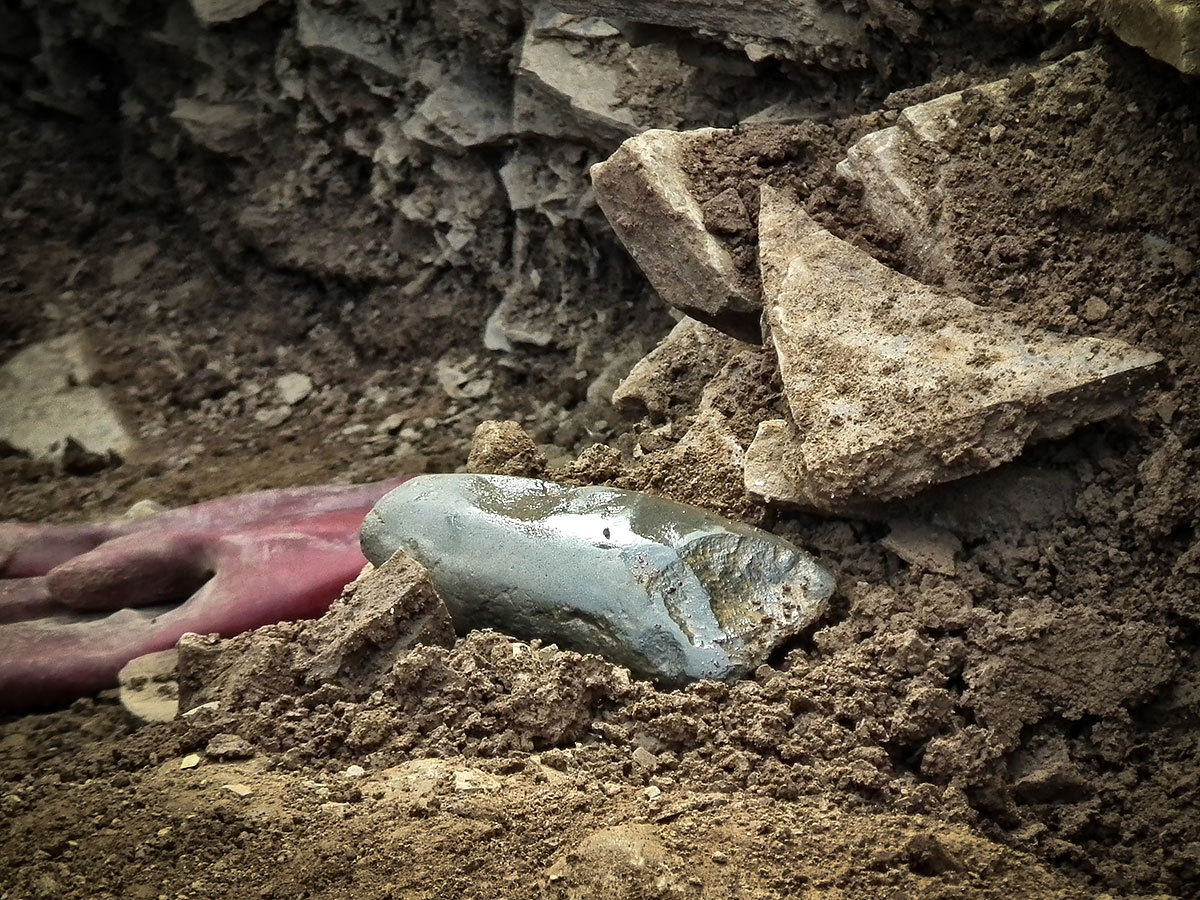 The large polished stone axe - the biggest so far discovered at the Ness - in site in Trench Y. The business end of the axe had been very heavily used and was badly damaged, with the removal of many flakes from its edge
