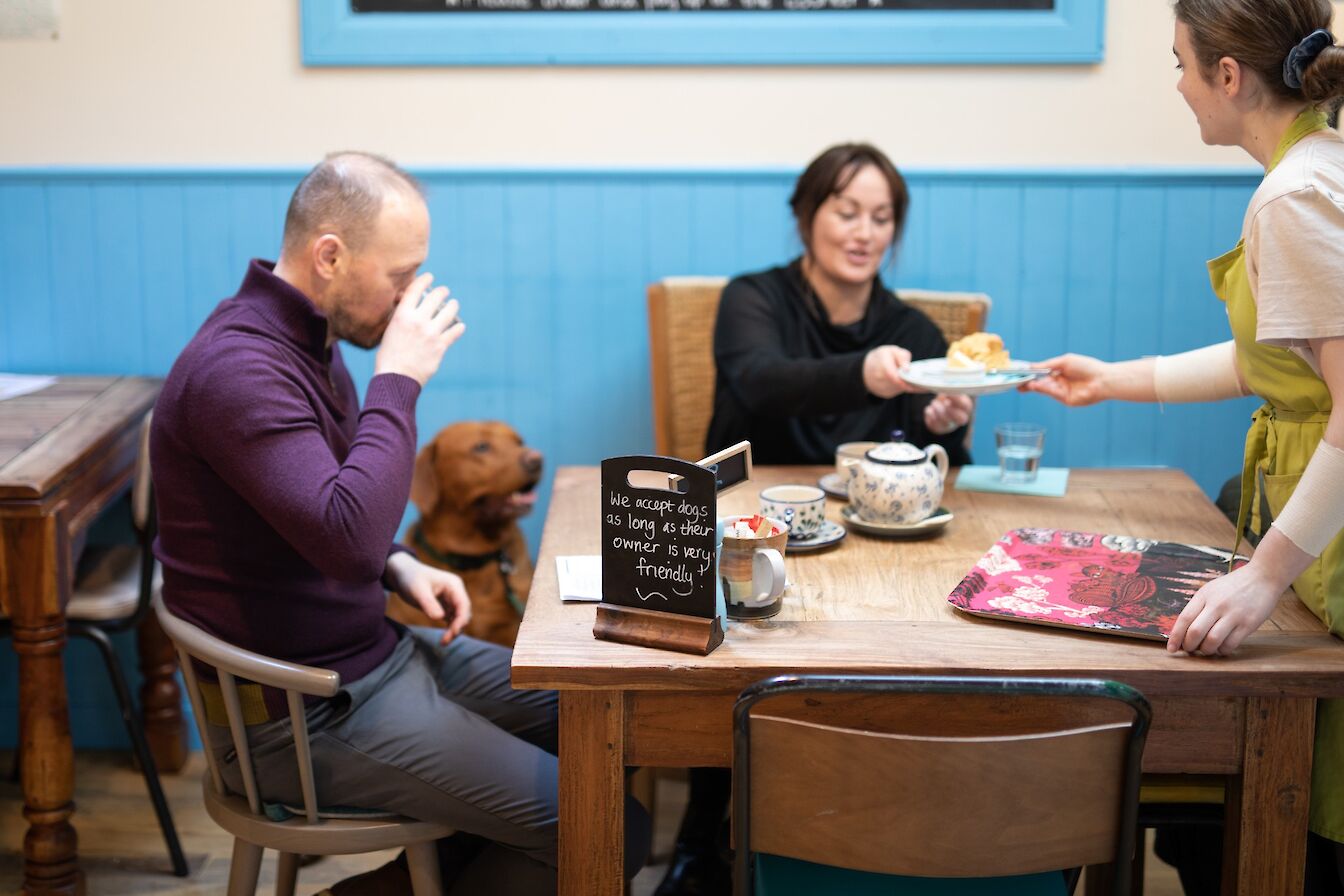 Dogs are welcome at Judith Glue's Read Food Cafe in Kirkwall