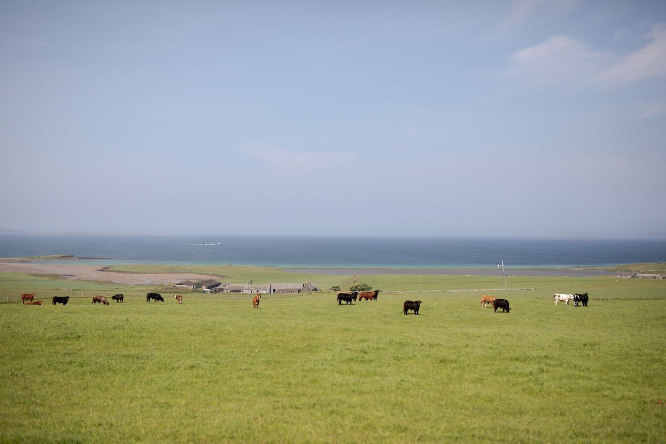 View over Shapinsay farmland, Shapinsay, Orkney