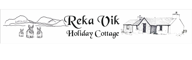Reka Vik Logo