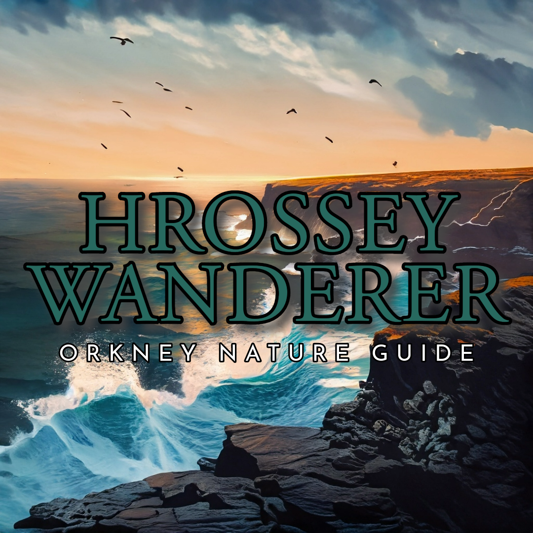 Hrossey Wanderer Logo