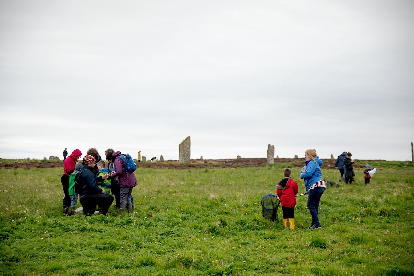 Bug hunt at the Ring of Brodgar, Orkney