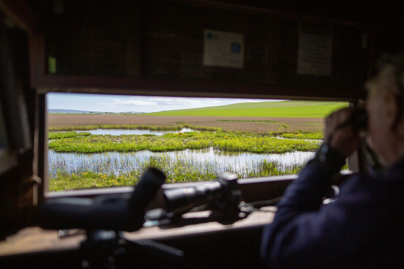 Guide in a hide session at The Loons, Orkney
