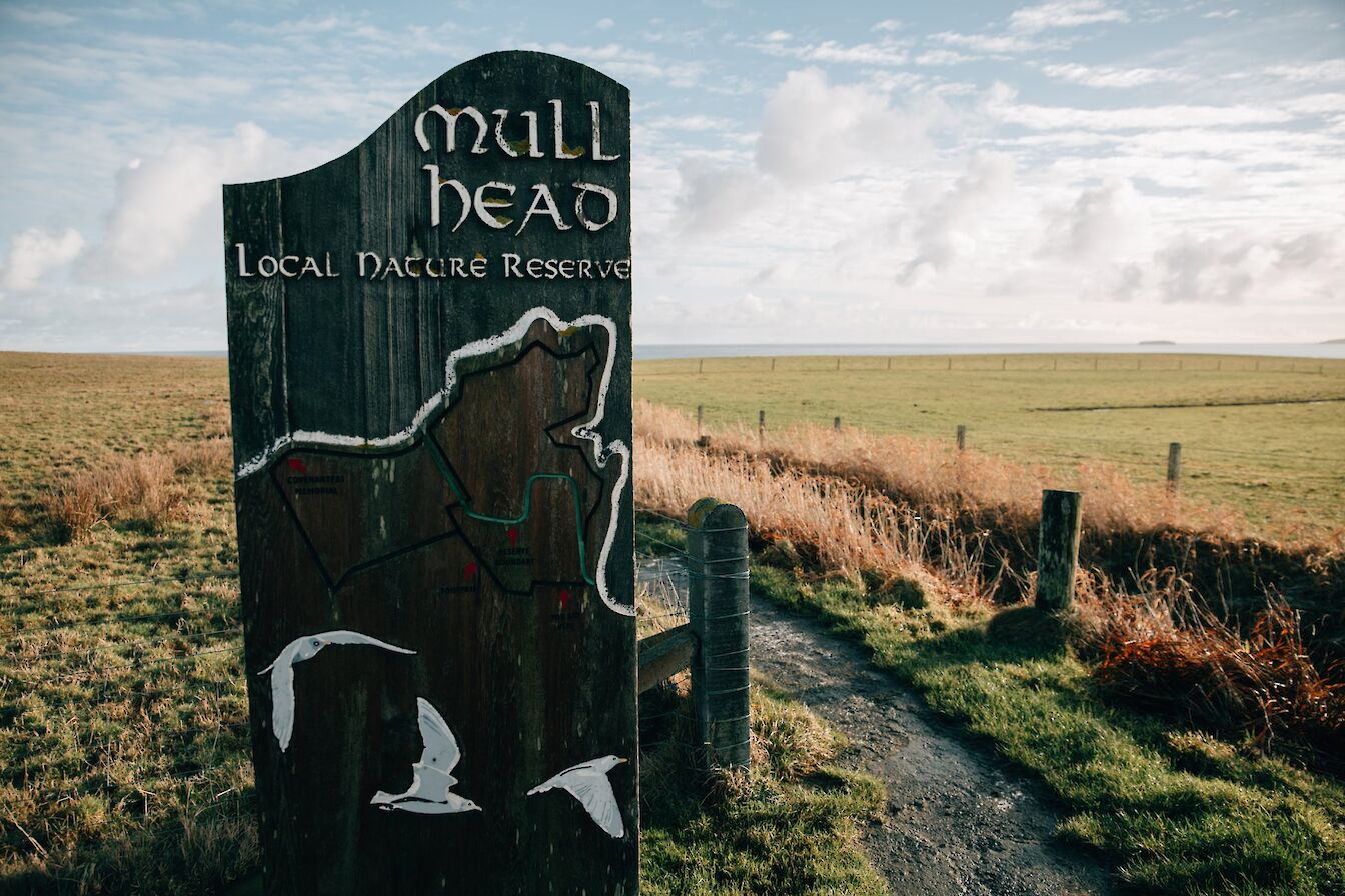 Start of the Mull Head walk, Orkney