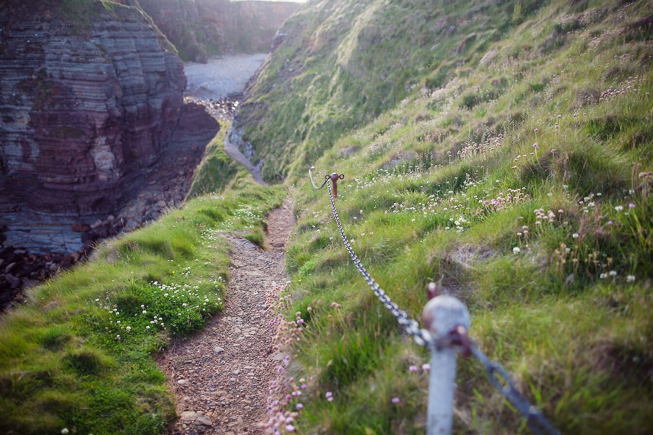 Path to the Brough of Deerness, Orkney