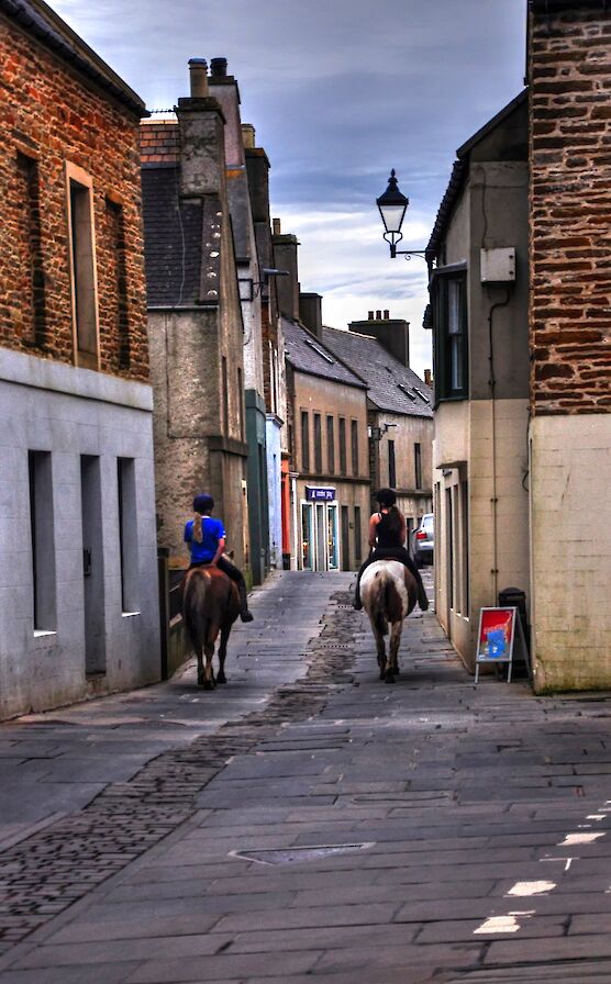Horses on the street in Stromness - image by Glenn McNaughton
