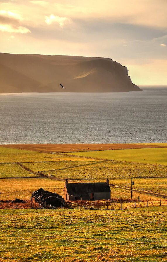 The view across Hoy Sound, Orkney - image by Glenn McNaughton
