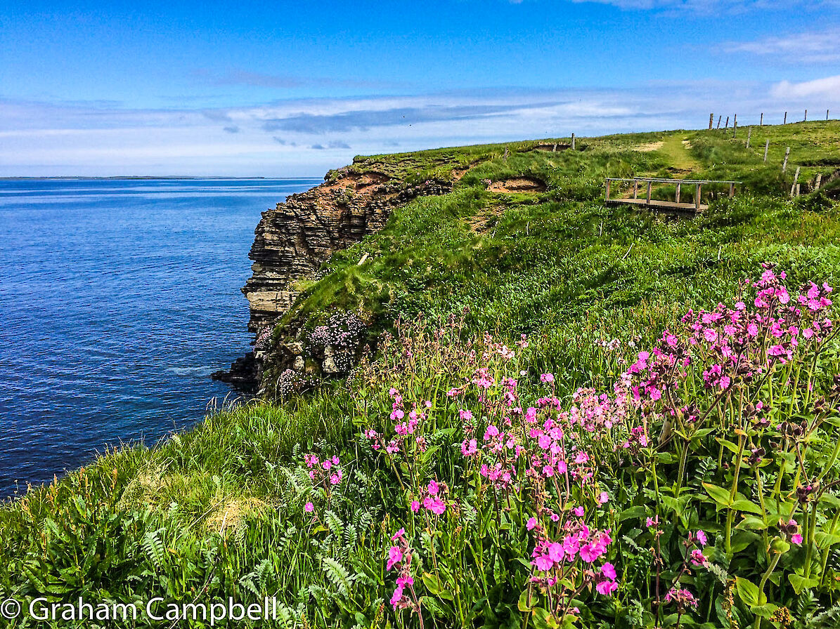Coastal views at the Castle of Burrian, Westray - image by Graham Campbell