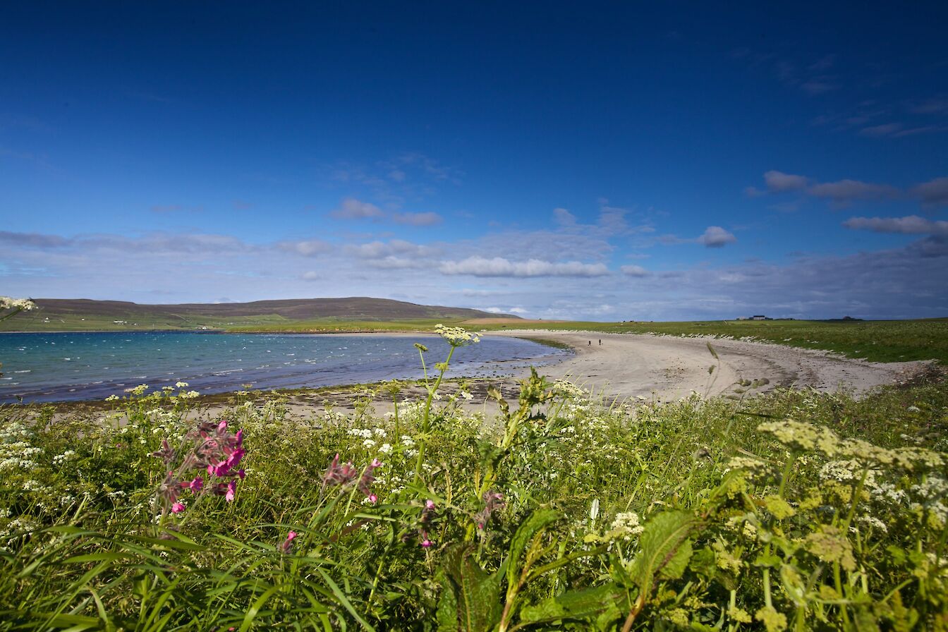 The beach at Sands of Evie, Orkney - image by Colin Keldie