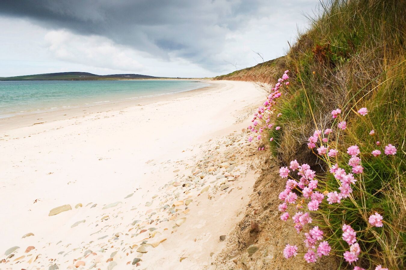 Sands of Mussetter, Eday - image by Visit Scotland/Iain Sarjeant