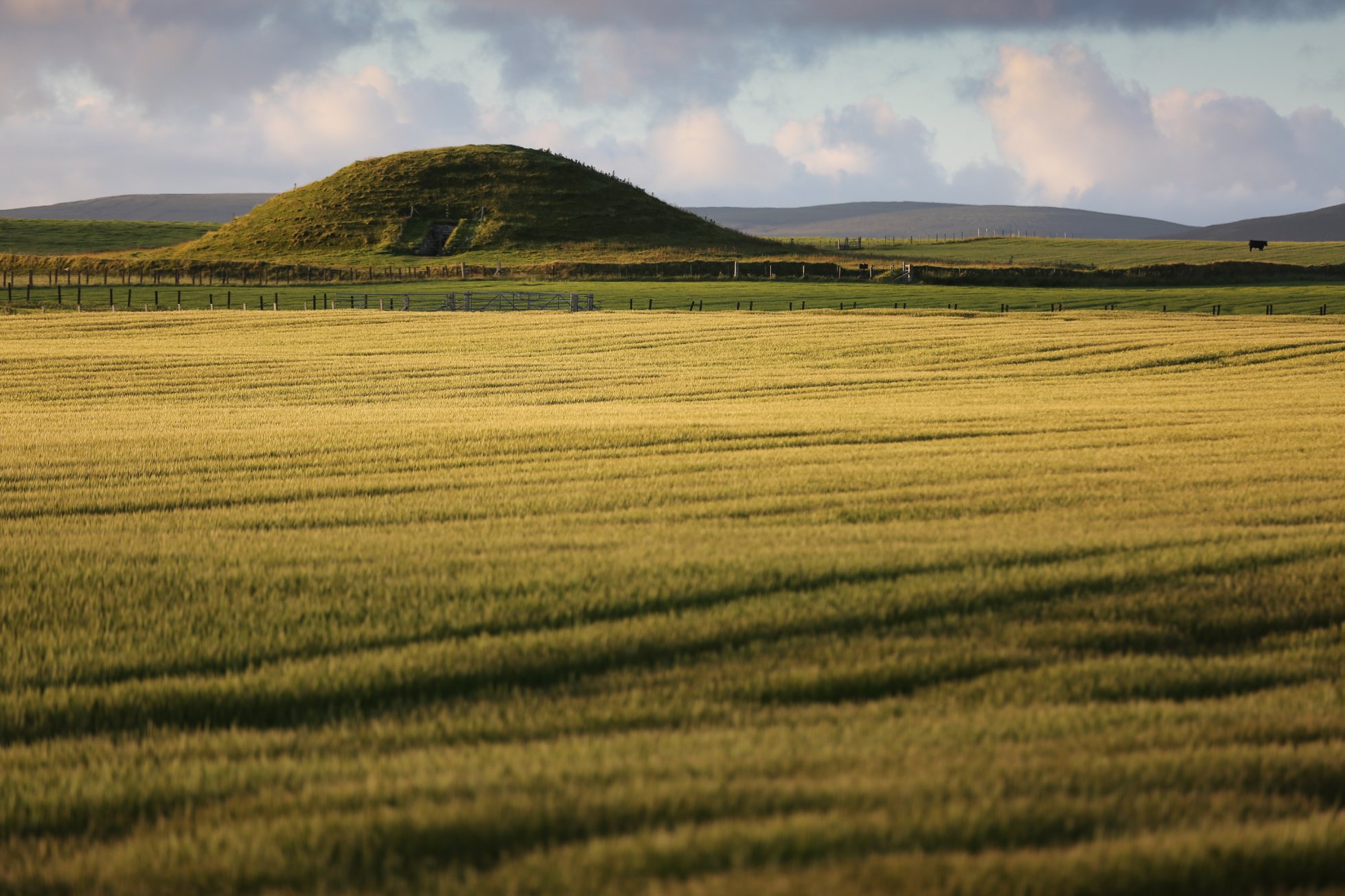 Find out how you can visit Maeshowe