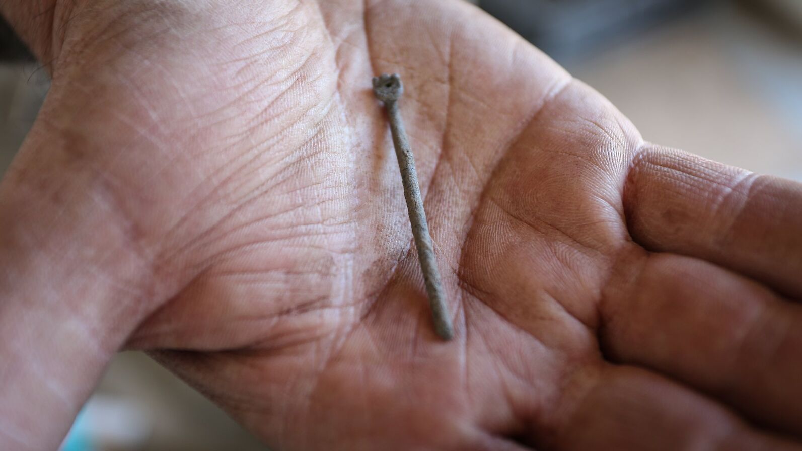 Bone pin from the Cairns