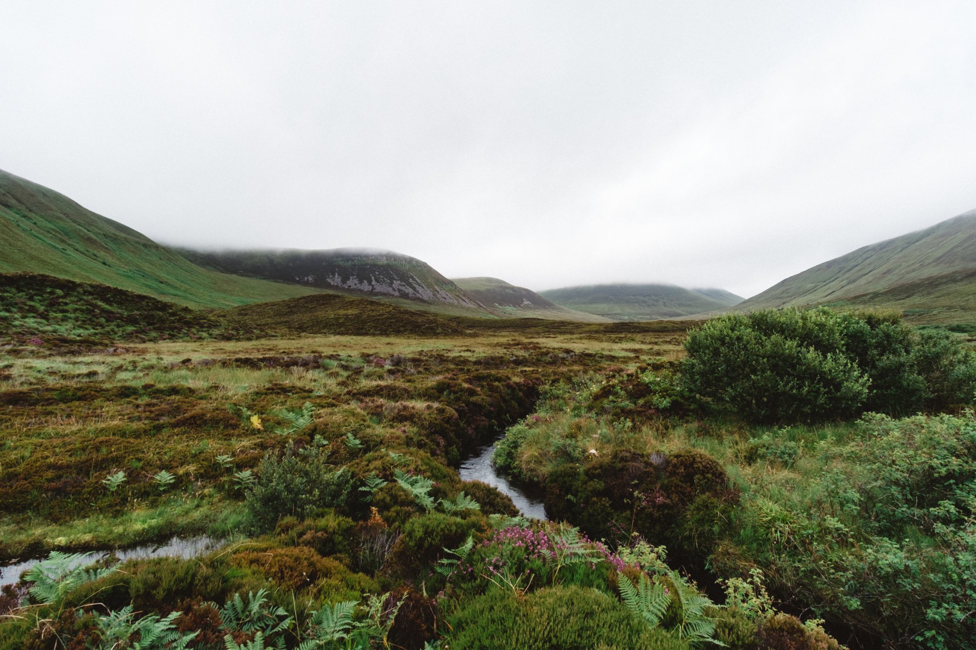 Rackwick valley - image by Tomas Hermoso