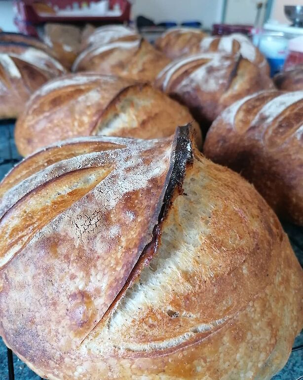 Exploring Orkney's larder Sourdough