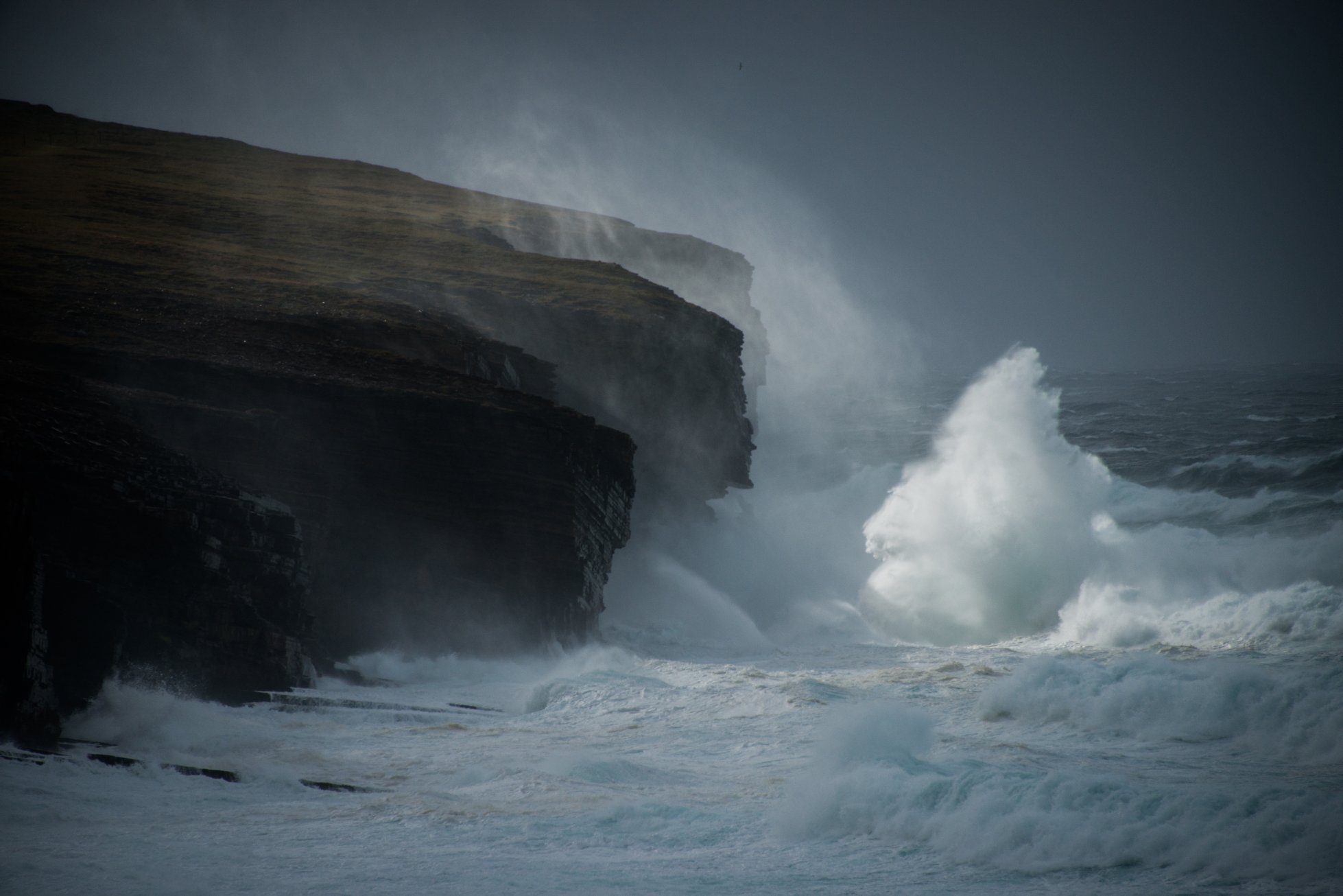 Wild Orkney coastline - image by Margaret Soraya