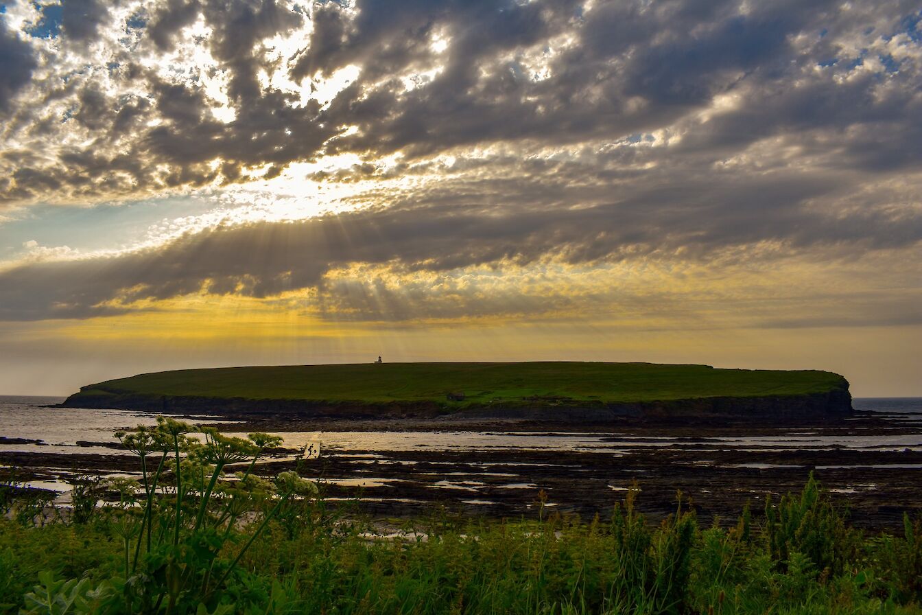 Brough of Birsay, Orkney - image by Scott Oxford