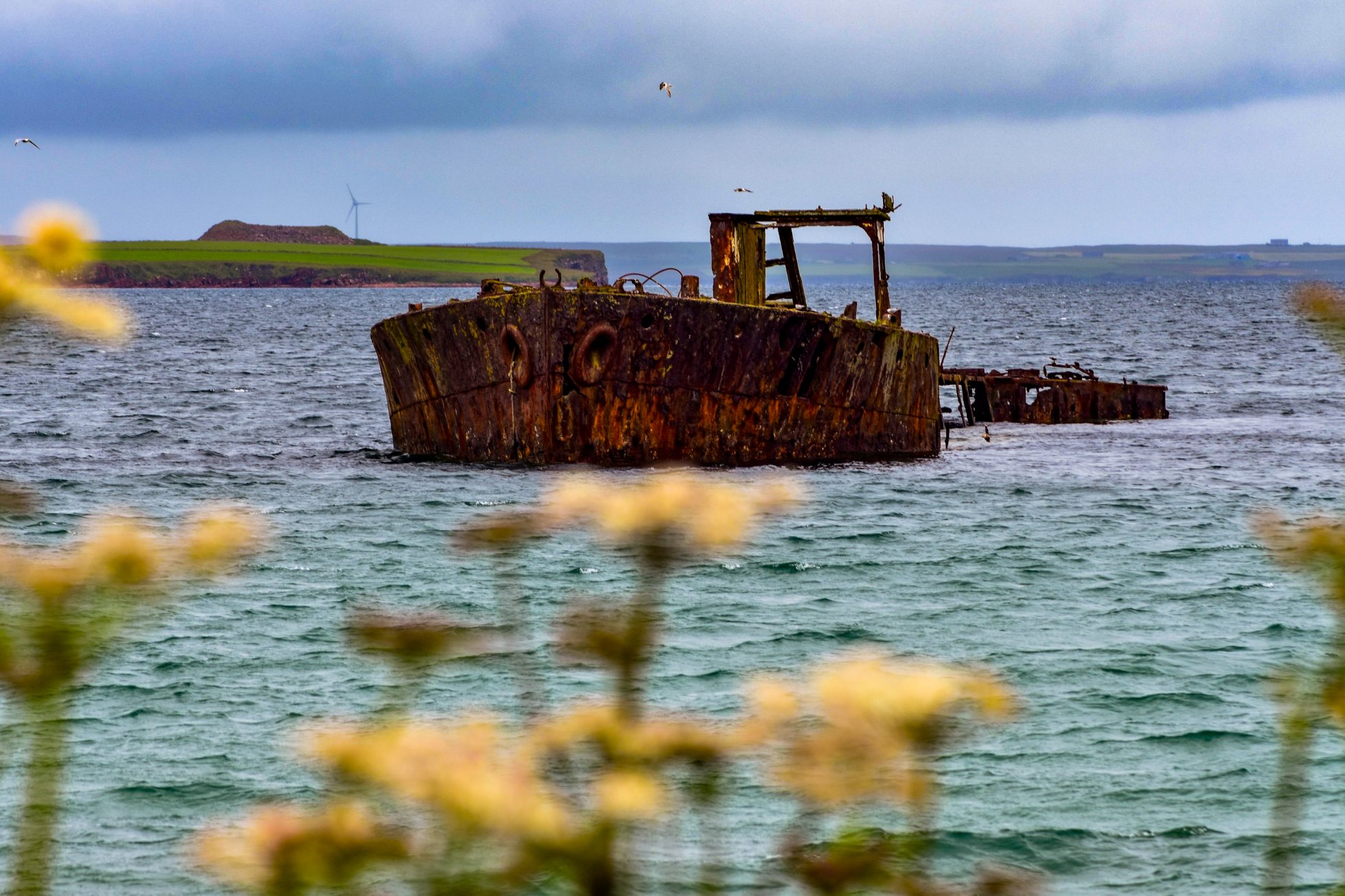 Inganess, Orkney - image by Scott Oxford