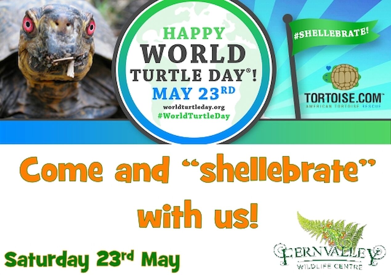 World Turtle Day at Fernvalley Wildlife Centre