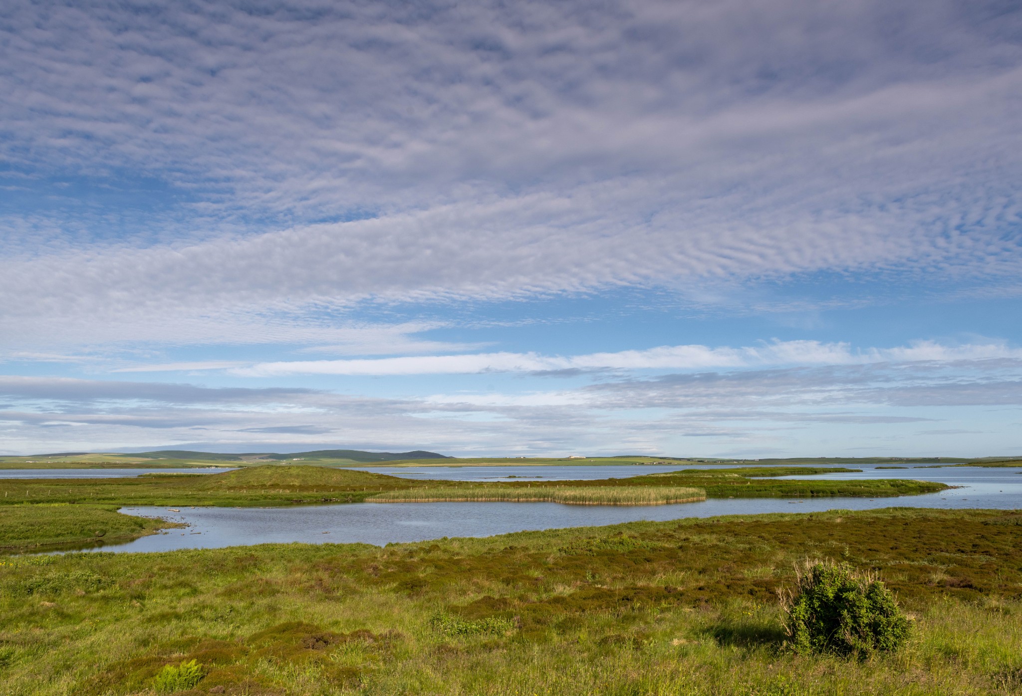 View from Lochside, Orkney - image by Raymond Besant