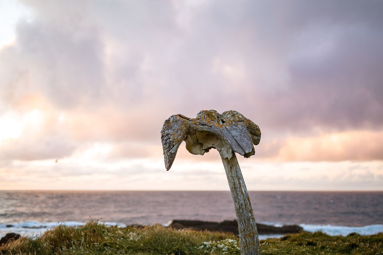 The Birsay Whalebone, Orkney