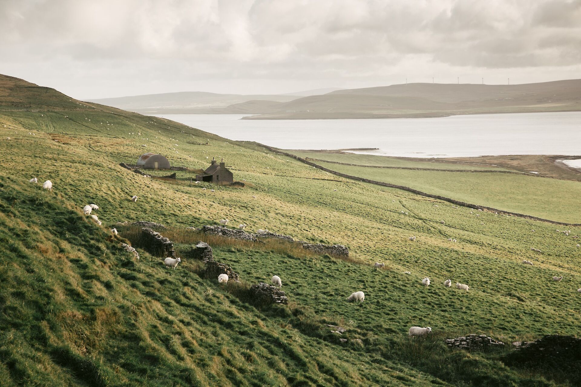 Orkney's autumn colours | Orkney.com