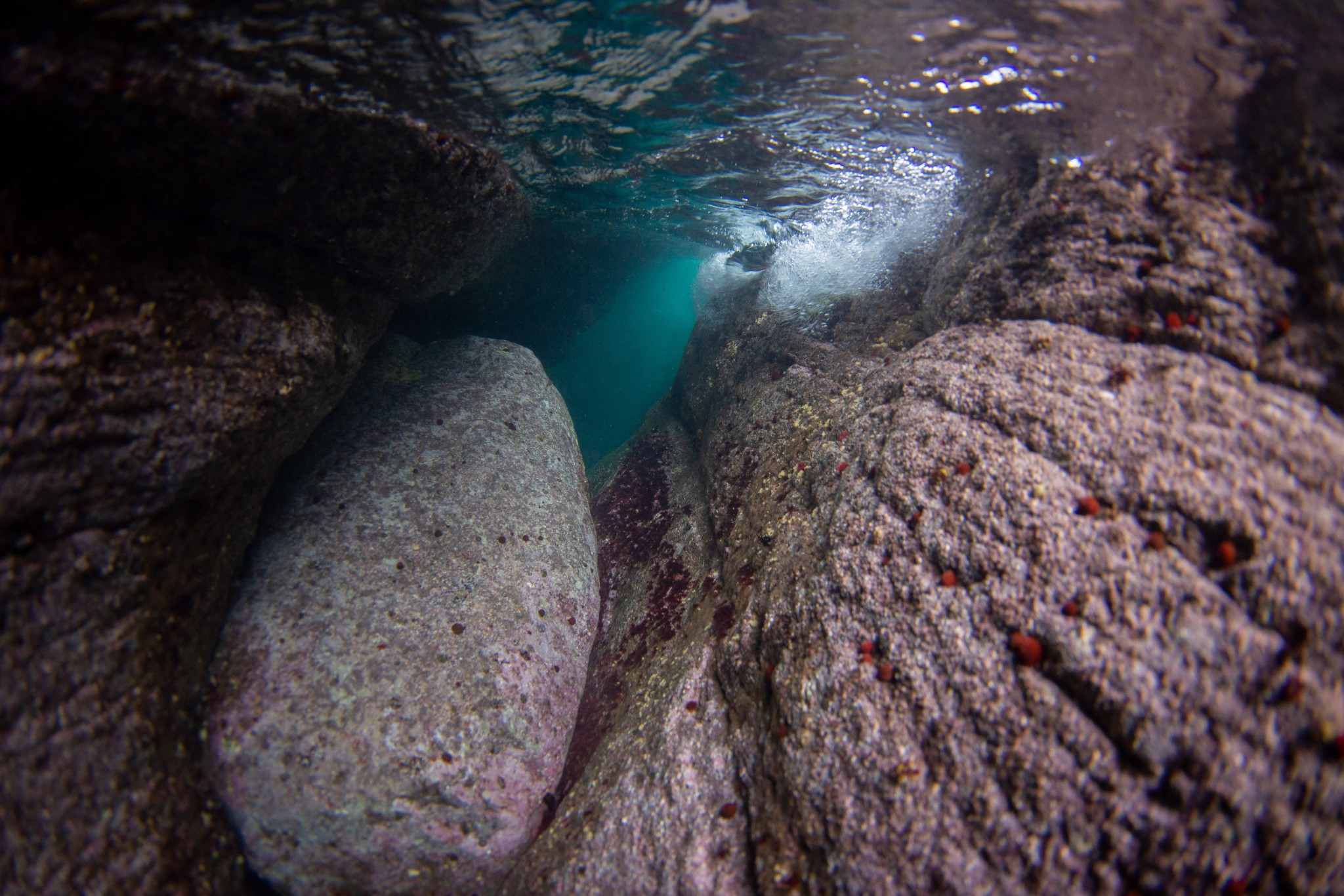 Swimming through the caves at Yesnaby - image by Raymond Besant