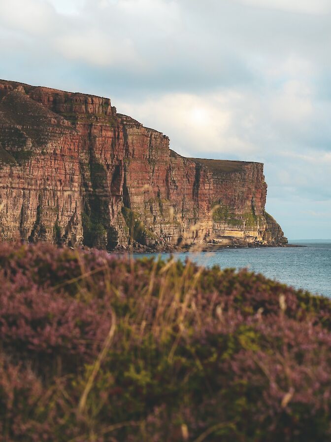 The cliffs at Rackwick - image by Ally Velzian