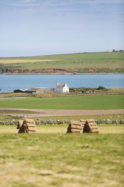 Stronsay | Orkney.com