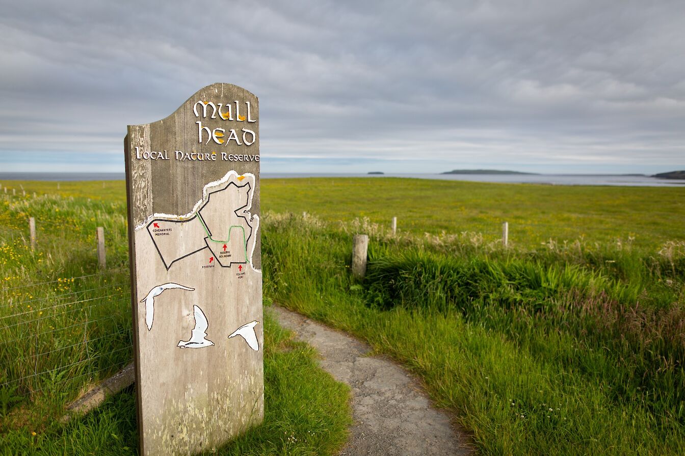Mull Head Nature Reserve, Orkney