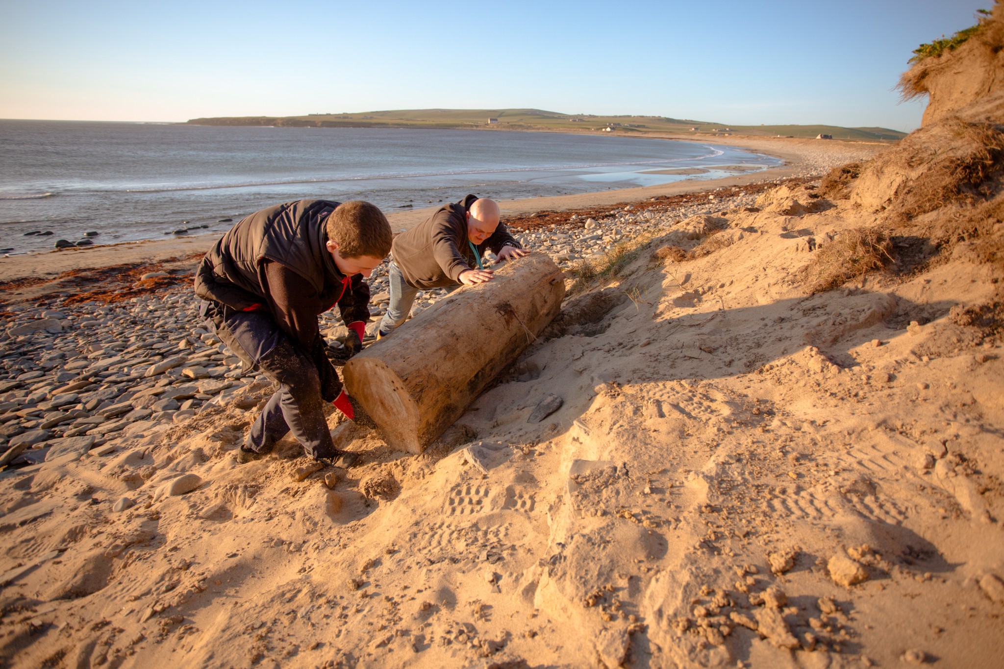 Fraser salvaging a piece of driftwood from the Bay of Skaill, Orkney