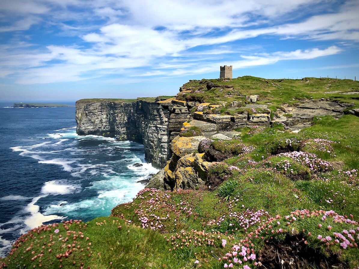 Marwick Head, Orkney - image by Mandy Sykes
