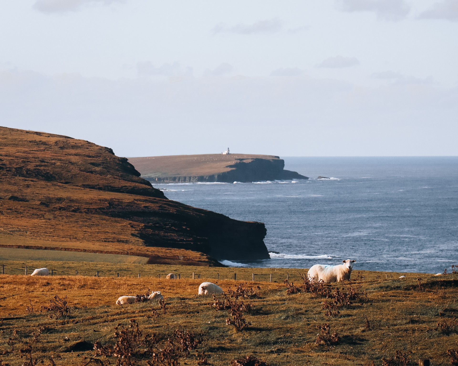 The view towards the Brough of Birsay from Costa Head.