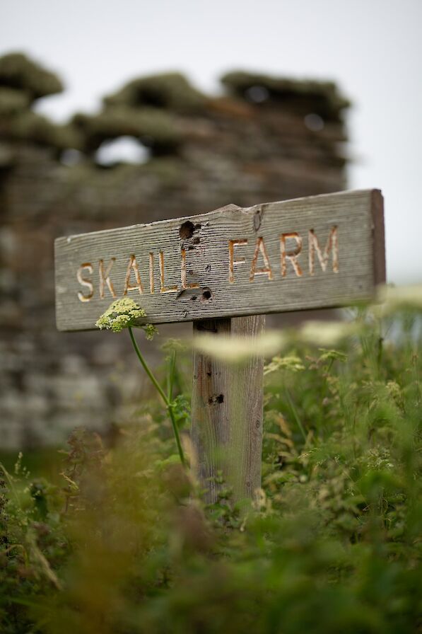Skaill Farm sign, Orkney