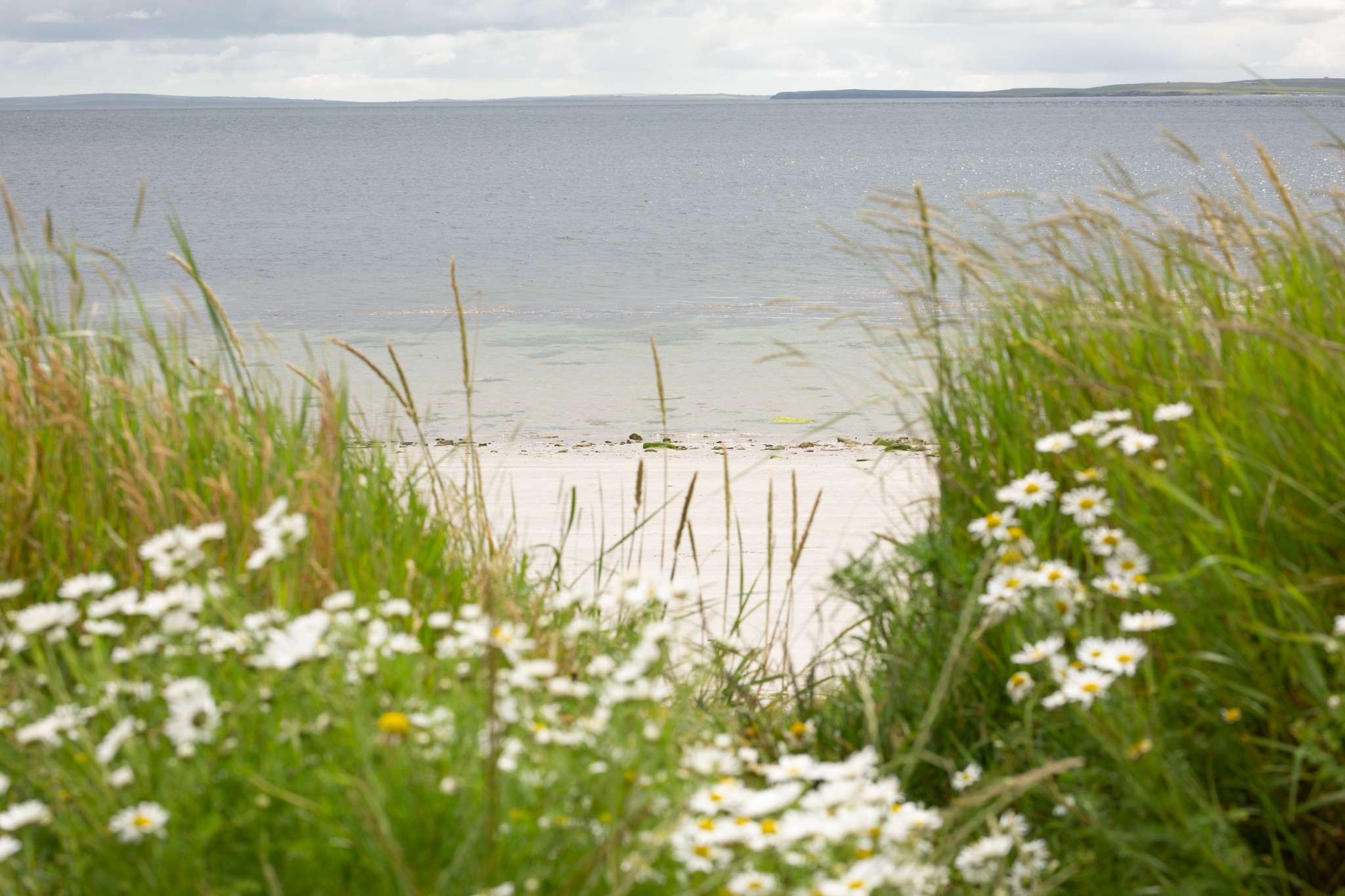 The beach at the Bay of Greentoft, Eday, Orkney