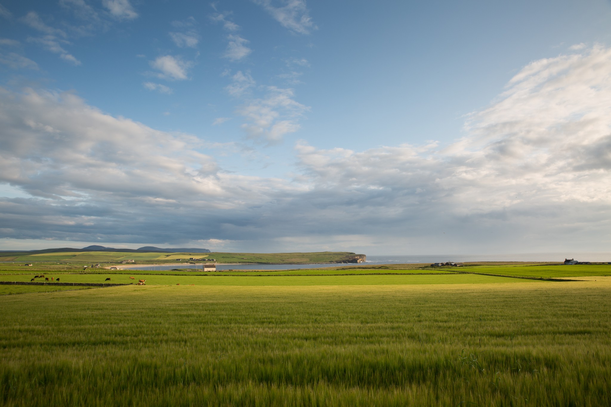 Orkney's fertile landscape will be part of the focus of this year's festival