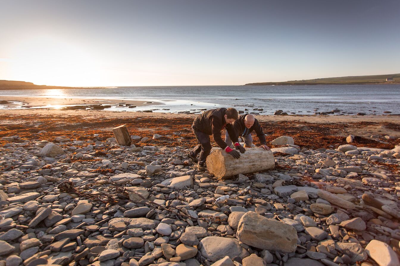Collecting driftwood from the shore in Orkney