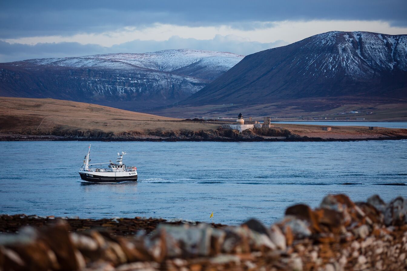 Fishing boat heading towards Stromness harbour, Orkney