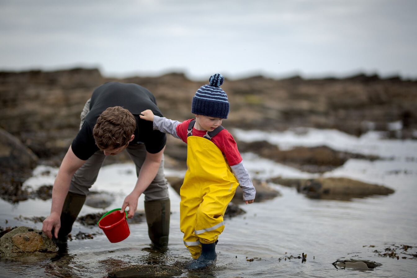 Rockpooling at the Orkney Nature Festival