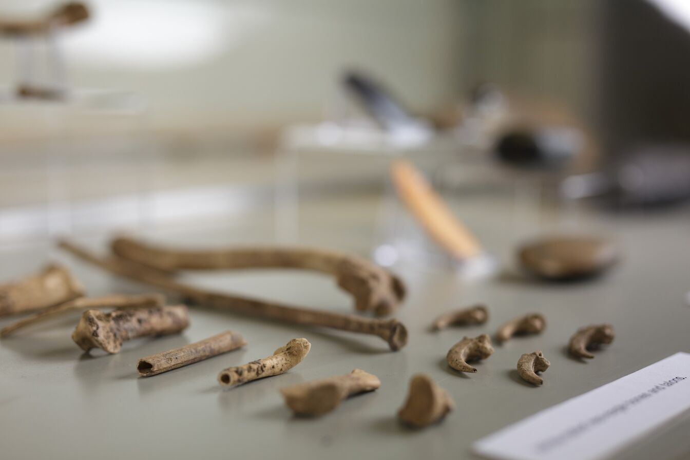 Artefacts from Tomb of the Eagles, now on display at the Orkney Museum